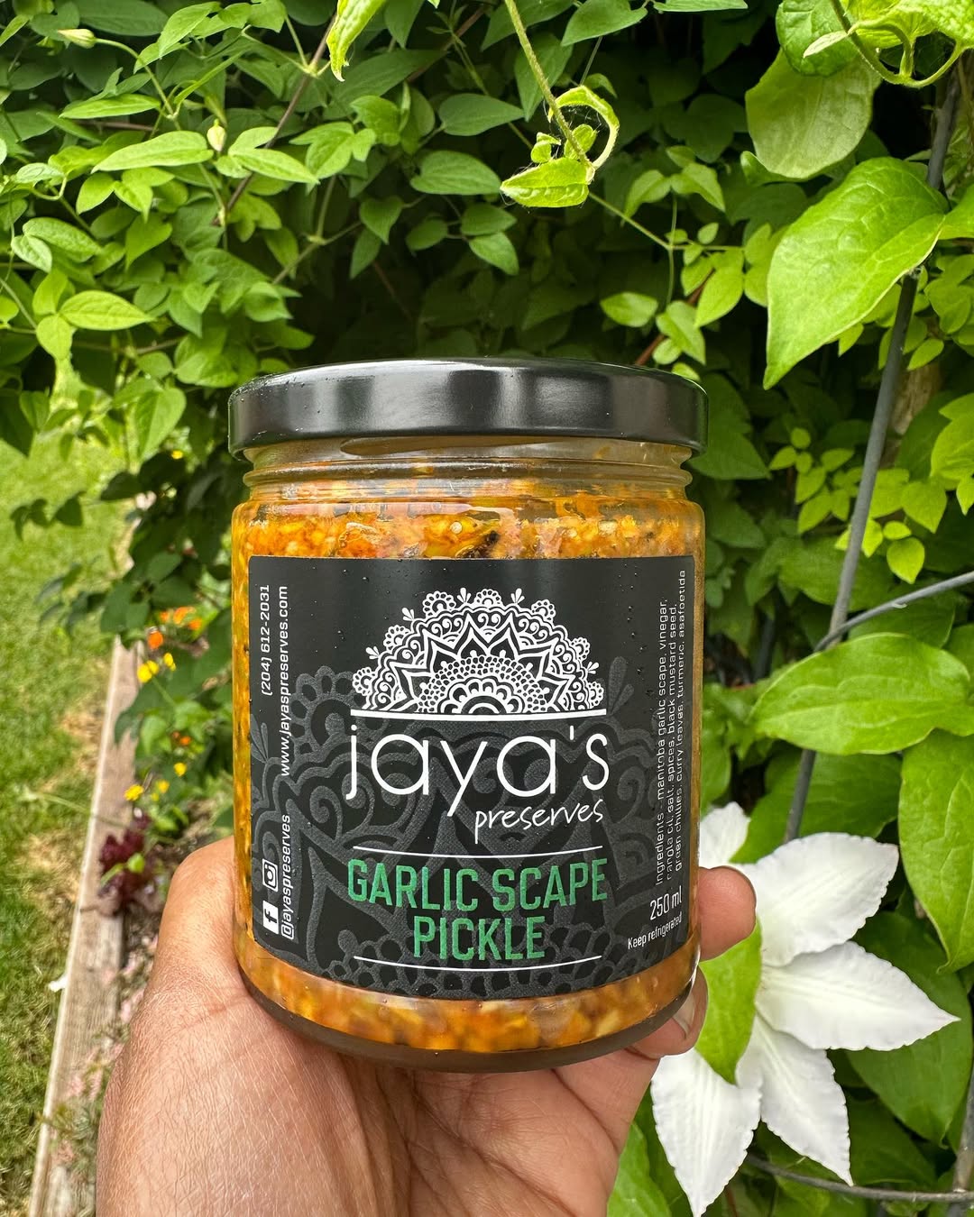 Spicy Garlic Scape pickle is back in stock, thanks to the hardworking folks @hnatiukgardens 💕