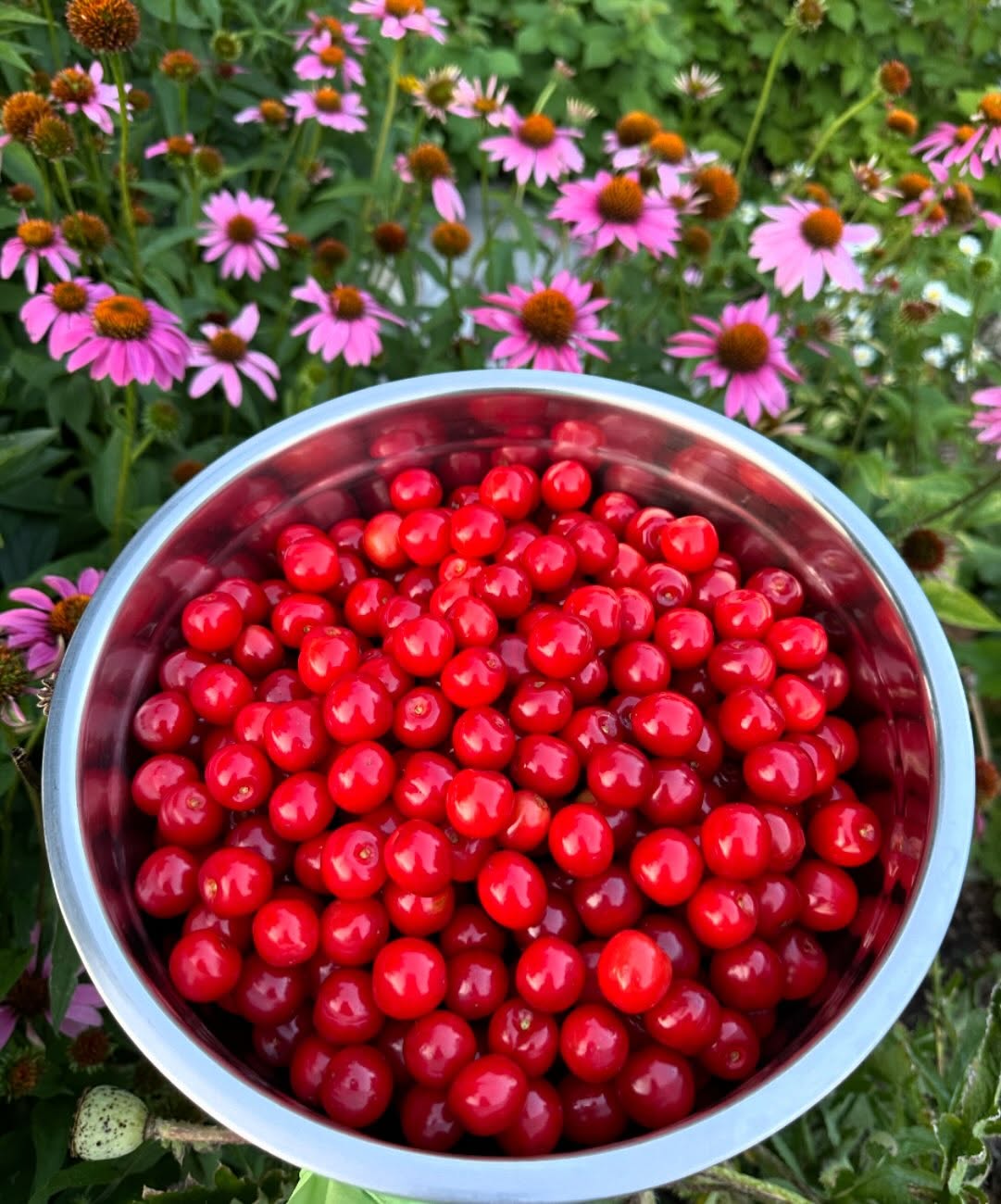 Jaya’s Preserves post